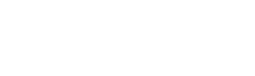 新致汽车
